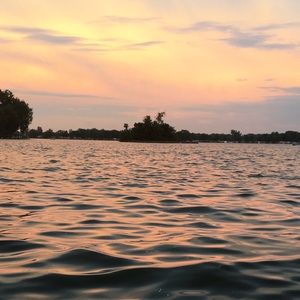 Meet your Posher, Abbie